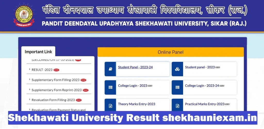 pdusu ba 1st year result