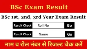 bsc 2nd year result